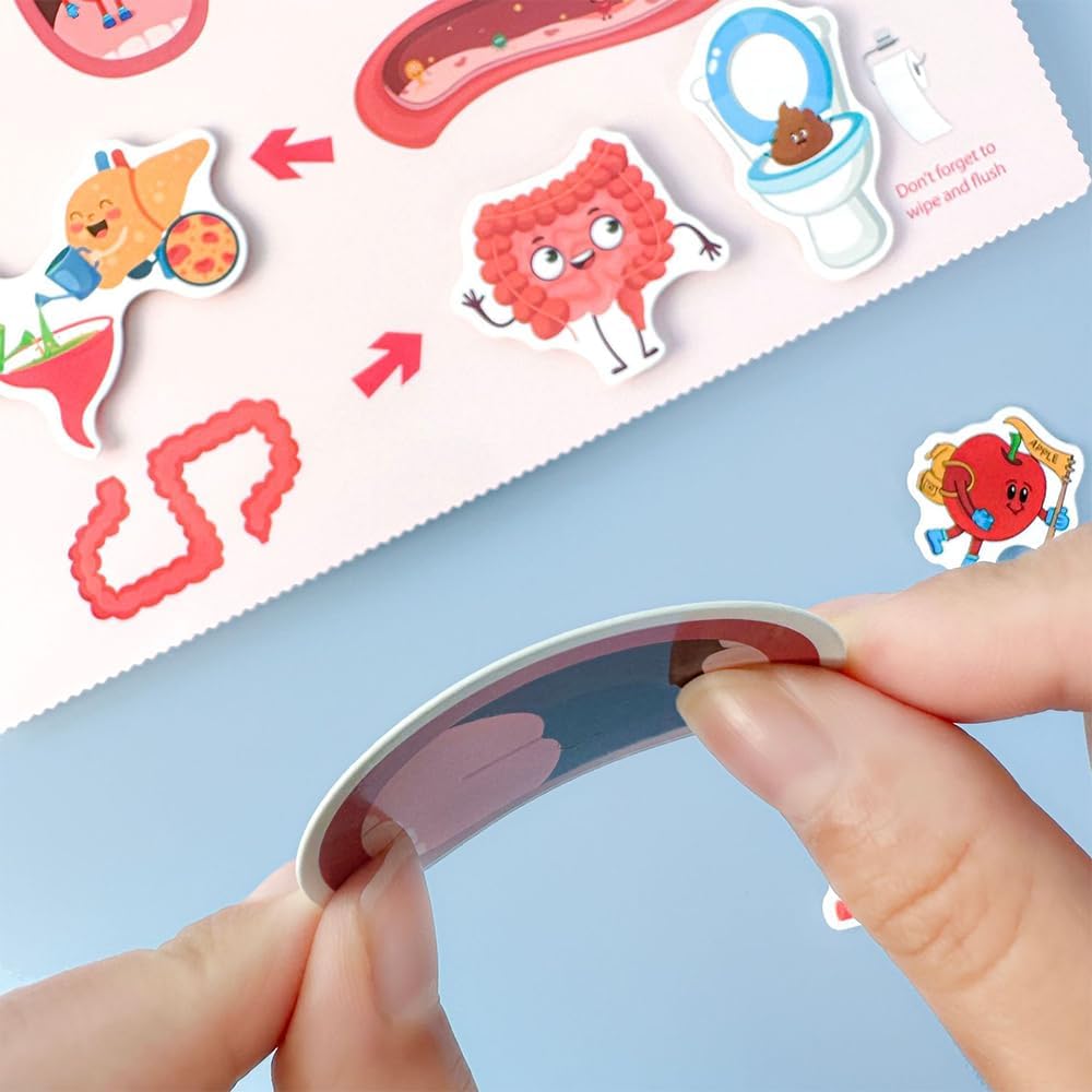 Human Body Busy Book for Toddlers