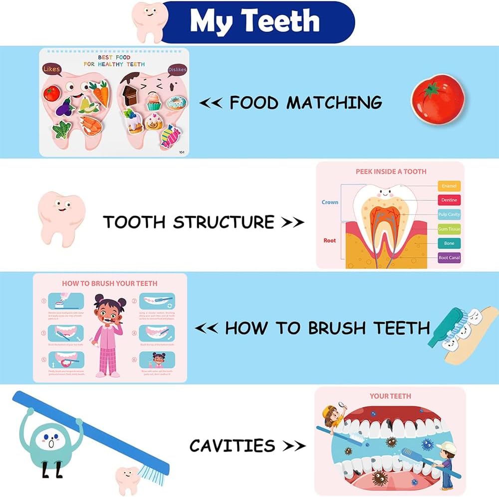 Human Body Busy Book for Toddlers