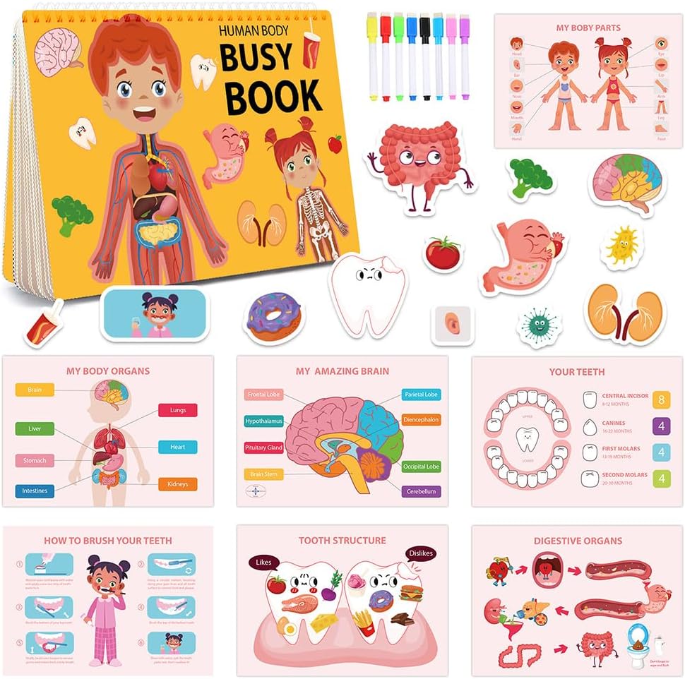Human Body Busy Book for Toddlers