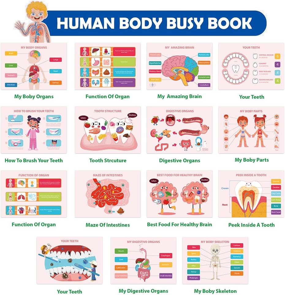 Human Body Busy Book for Toddlers