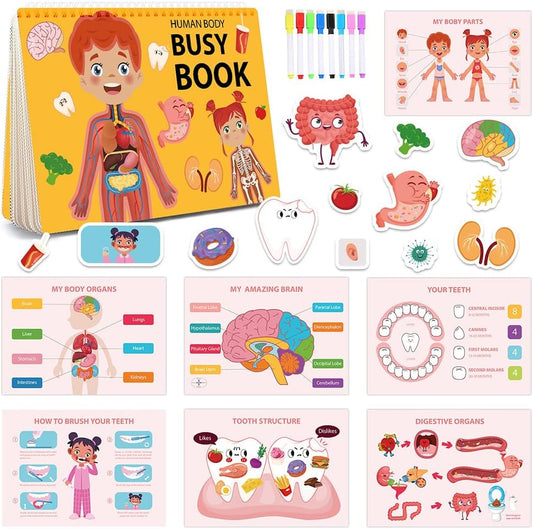 Human Body Busy Book for Toddlers